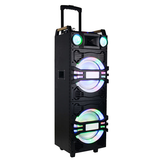 2×10" Battery Outdoor Stage Speaker