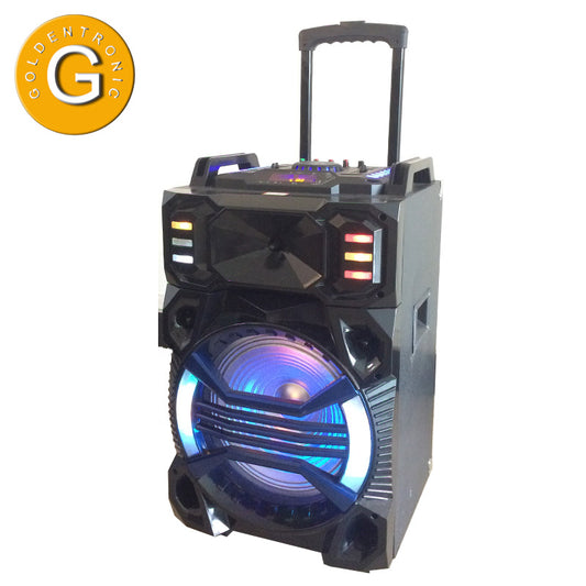 1X10" Trolley Battery Ball Light PA Speaker