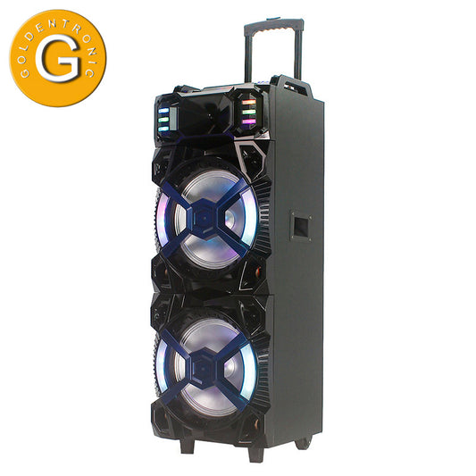 2×12“ ”12V /4.5AH Lead Acid Battery Powered Mobile Outdoor Stage Speaker For Party