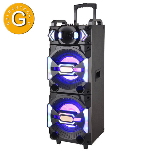 2×12“High performance party performance stage high power speaker audio active wooden speaker