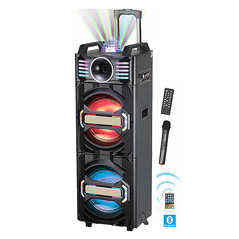 2×12’’ Wireless Bluetooth Microphone Home Audio Outdoor Dj Speaker