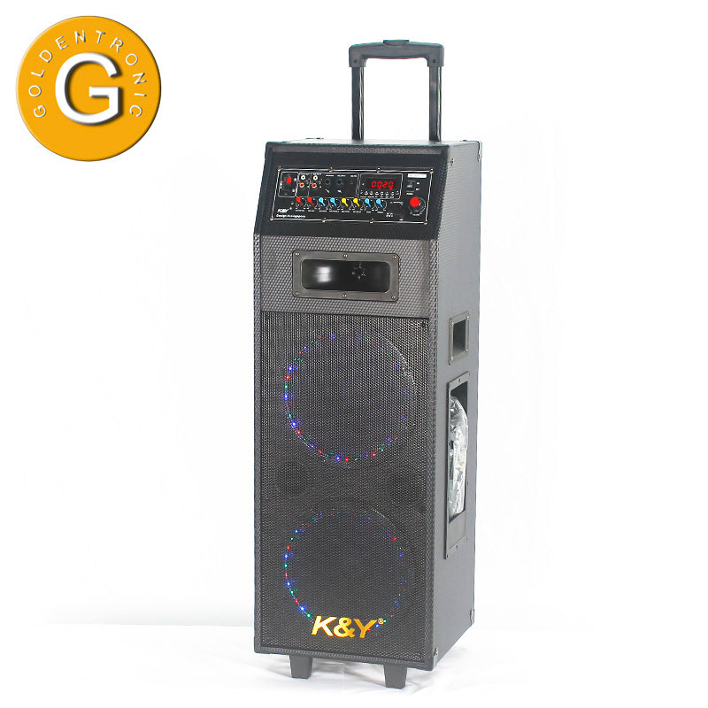 2X10" Professional Disco Party Light Professional Stage Speaker