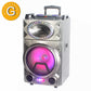 1X12" Powerful DJ Party Speaker