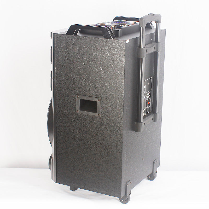 1X12" Powerful DJ Party Speaker