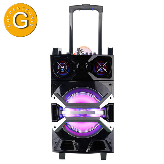 1X10" Trolley Party DJ Guitar Speaker