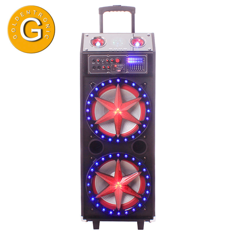 2×10"Popular Karaoke  wireless wooden box speaker outdoor led speaker