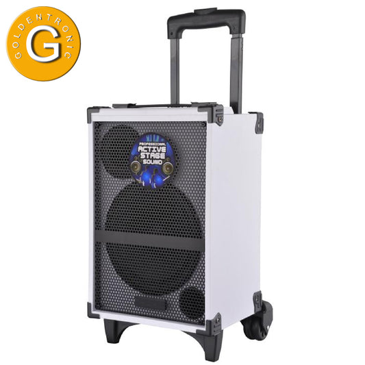 1X8" Wholesale Trolley Wired Microphone Function Cheap Party Wireless 8 Inches Speaker Outdoor