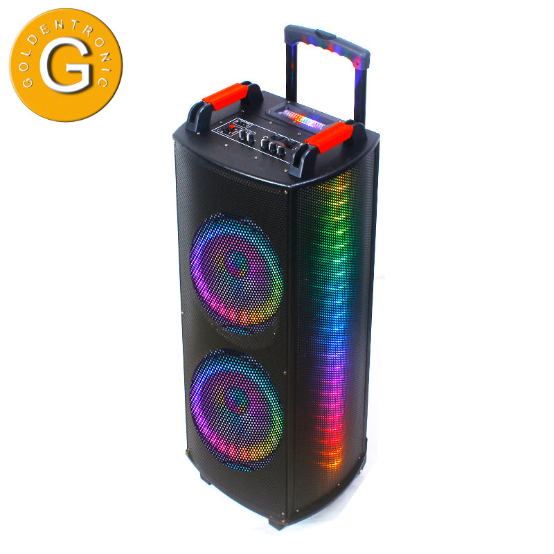 2×10"LED flashing light speaker