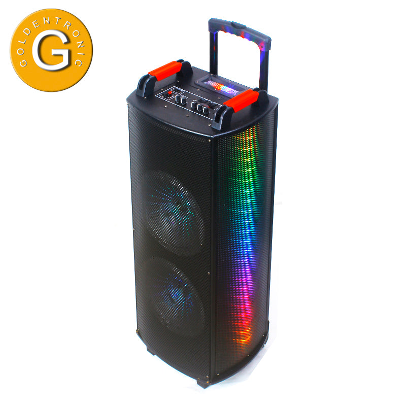 2×10"LED flashing light speaker