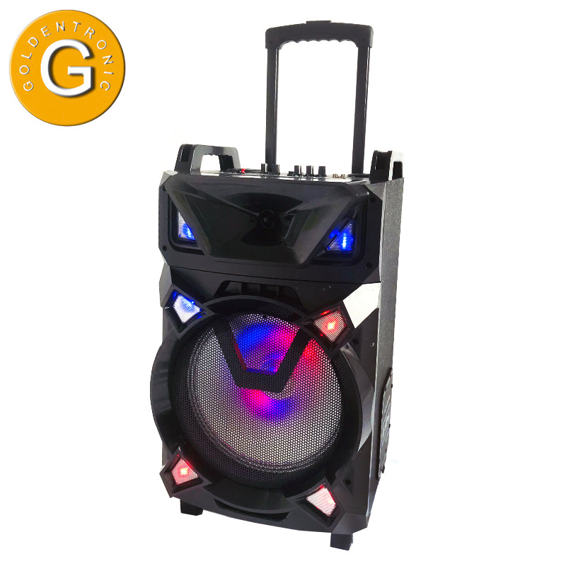 1X12" new style outdoor pro sound big battery speaker