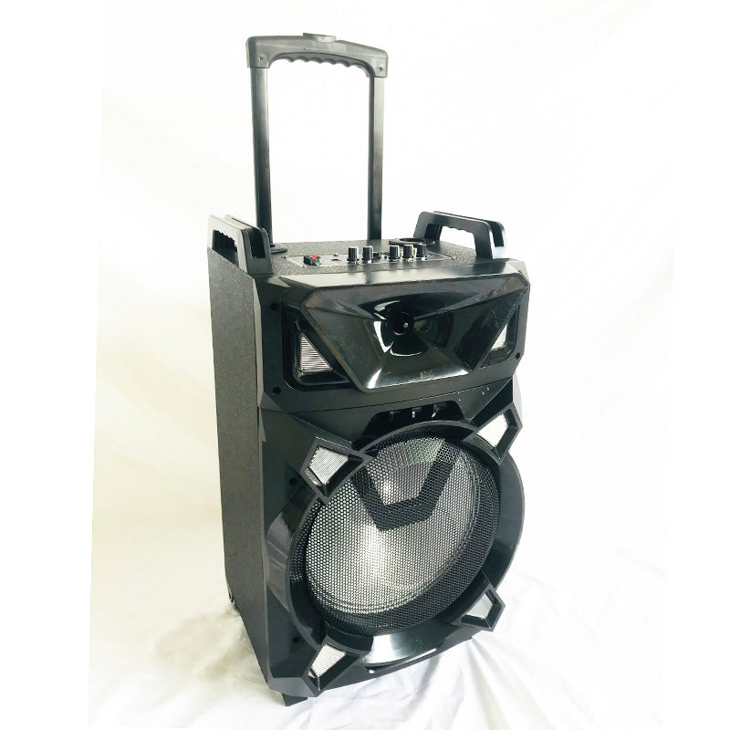 1X12" new style outdoor pro sound big battery speaker