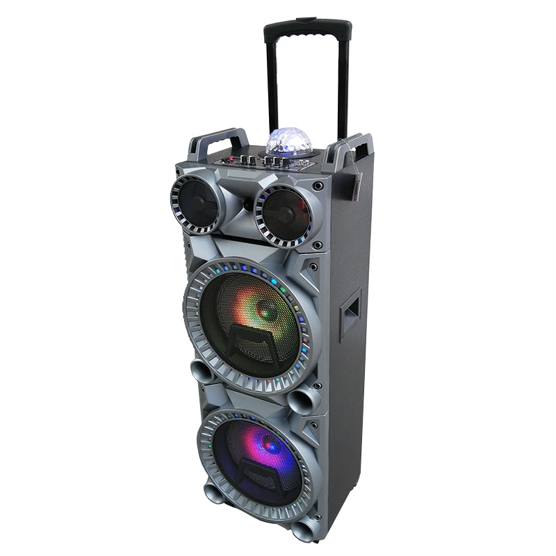 2X10" DJ Party Wireless Trolley Rechargeable Big Speaker