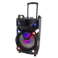 1X12" new style outdoor pro sound big battery speaker