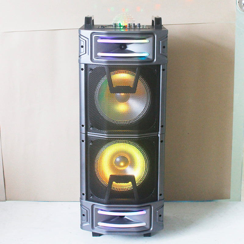 2X10" Inexpensive wooden speaker fashion active karaoke speaker